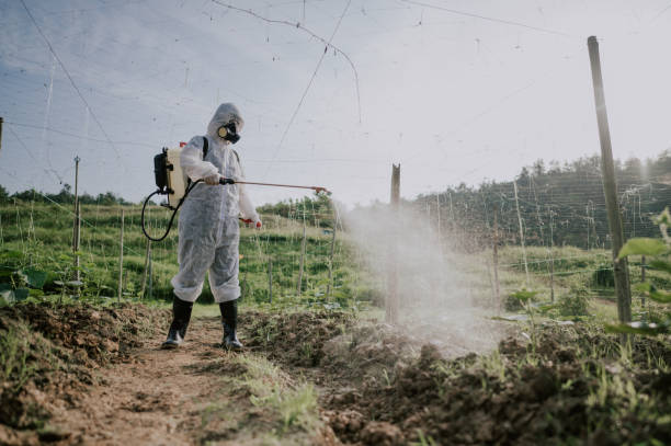 Best Local Pest Control Services  in Hurleyville, NY