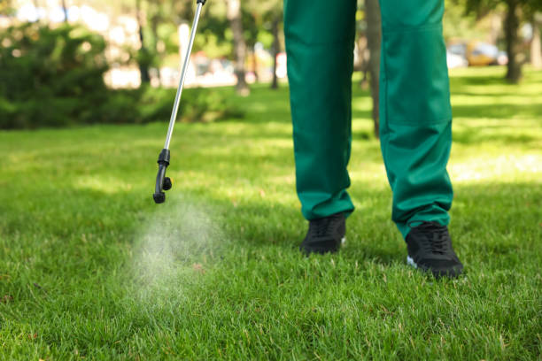 Best Pest Control for Homes  in Hurleyville, NY