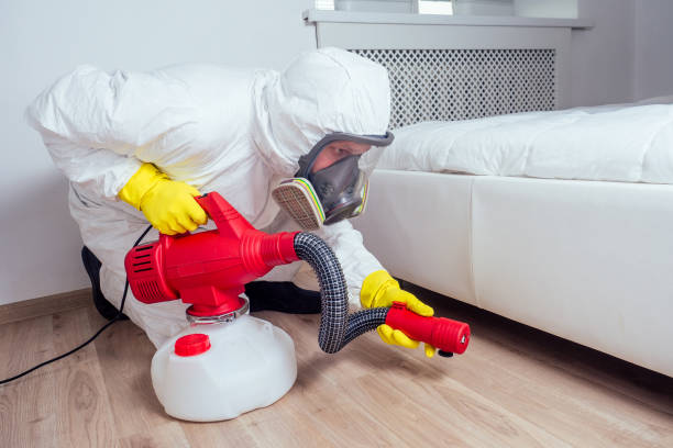 Best Affordable Pest Control Services  in Hurleyville, NY
