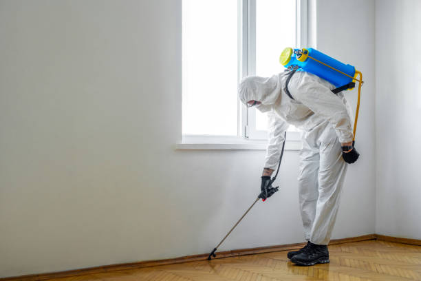 Best Insect Control  in Hurleyville, NY