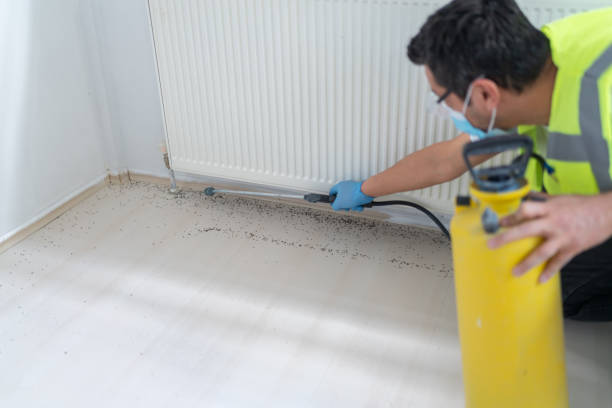 Best Pest Control for Homes  in Hurleyville, NY