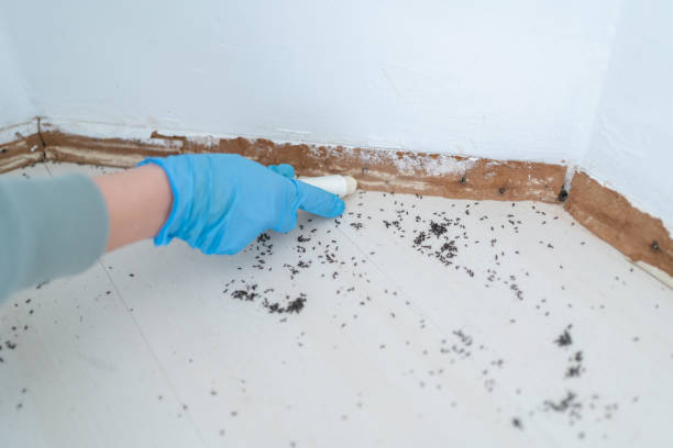Best Affordable Pest Control Services  in Hurleyville, NY