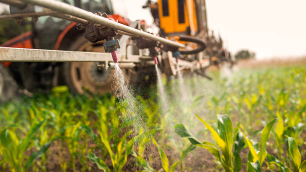 Reliable Hurleyville, NY Pest Control Solutions